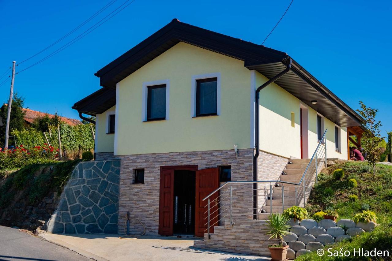 Casa vacanze Vinska Klet Sersen *